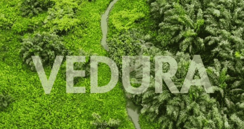 vedura Resort Land Plots